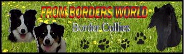 Banner_From_Borders_Word