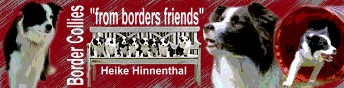 Banner_from_Borders_Friends