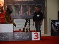 BCB Cherish Hope „Layla“