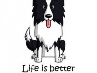 Lany bei Modul III der Therapieausbildung