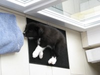 Everloving Evania „Elly“ zieht aus