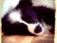 Enchanting Elice „Elice“ zieht aus