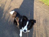 Delightful Denala „Nala“ besteht die BH