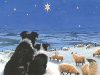 Besinnliche Weihnachtszeit