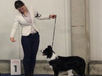 CAC Kassel – Lany VV1