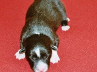 Lennon hat Geburtstag