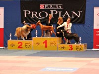 CAC Kassel – Leya 3. Platz beim Juniorhandling