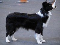 CAC Verl-Kaunitz – Lany VV2