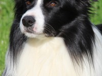 B-Wurf feiert 4. Geburtstag