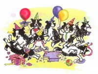 Lany + E-Wurf = 3 Jahre